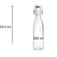 Viva-Haushaltswaren - 4 kleine Glasflaschen mit Bügelverschluss 250 ml (eckige Form) zum Selbstbefüllen inkl. einem Einfülltrichter Ø 7 cm